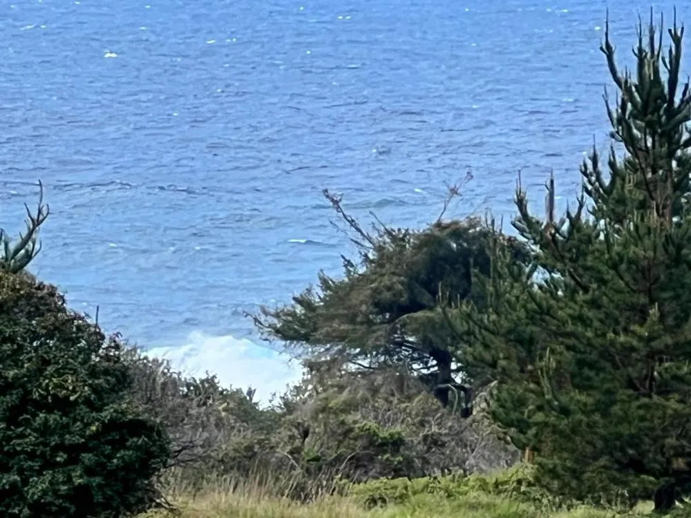 375 Spur Close The Sea Ranch, CA 95497