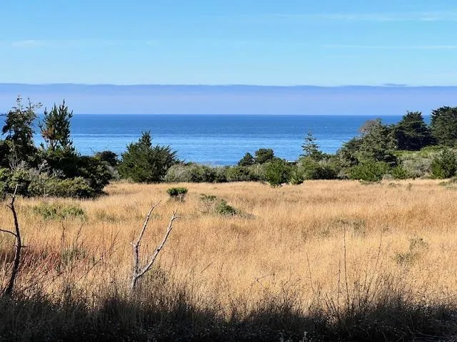 375 Spur Close The Sea Ranch, CA 95497