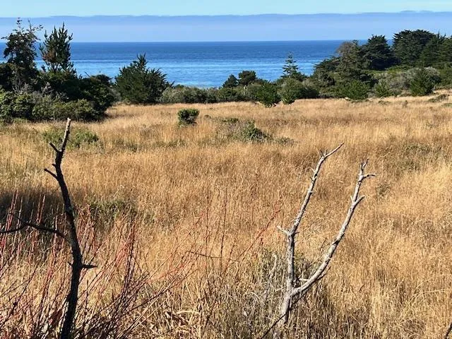 375 Spur Close The Sea Ranch, CA 95497