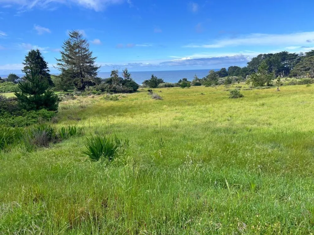375 Spur Close The Sea Ranch, CA 95497