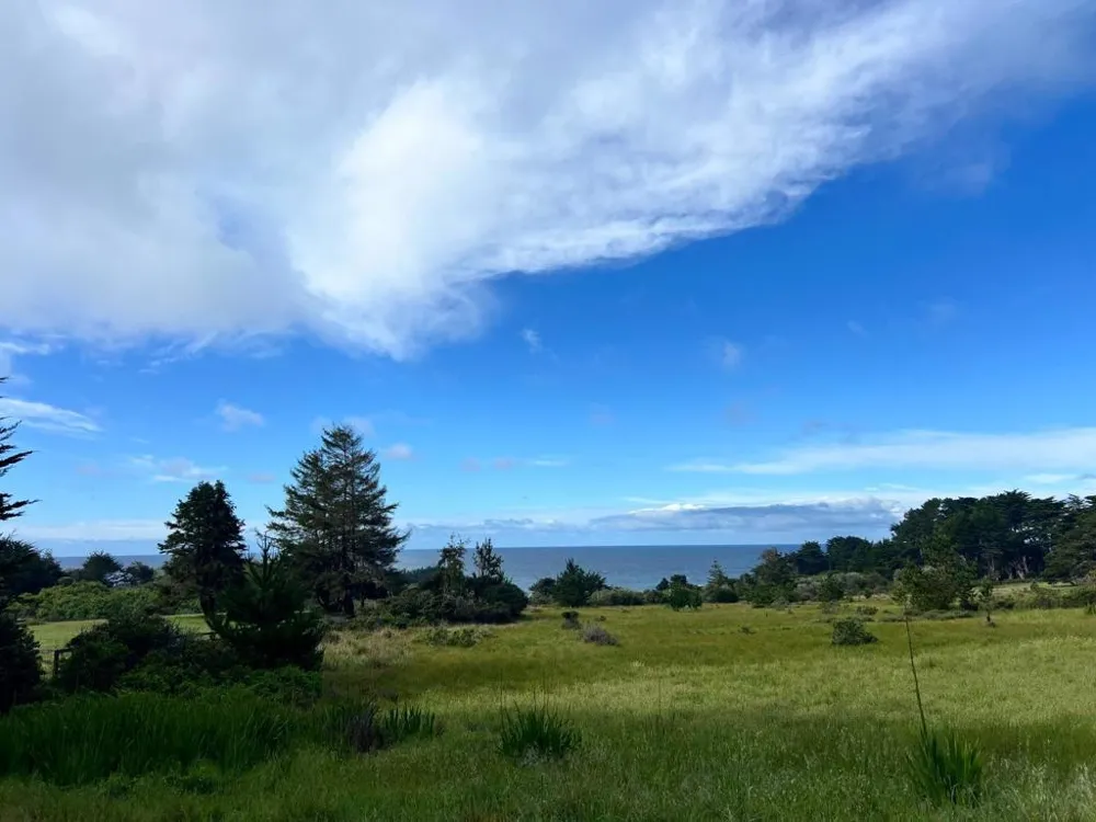 375 Spur Close The Sea Ranch, CA 95497
