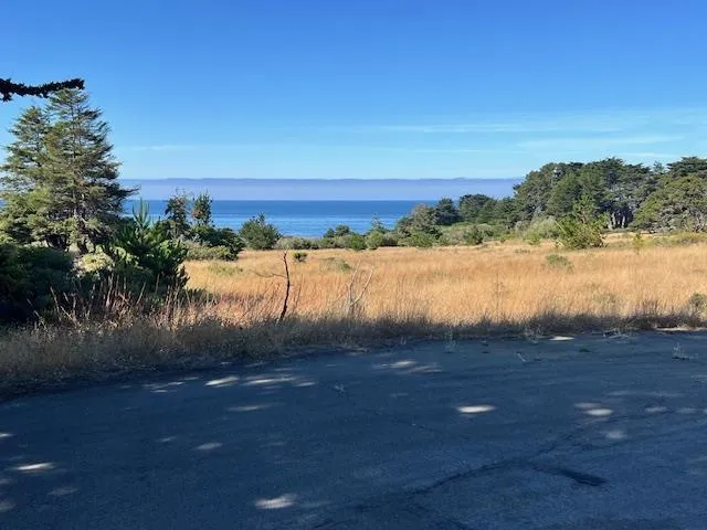375 Spur Close The Sea Ranch, CA 95497