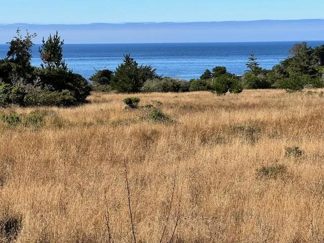 375 Spur Close The Sea Ranch, CA 95497