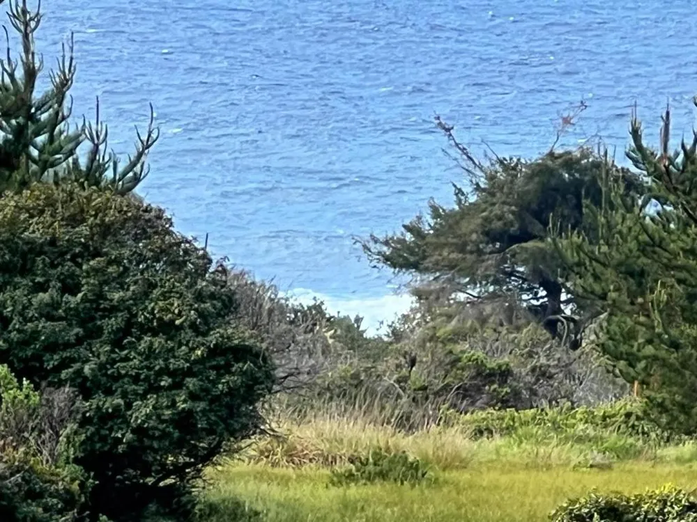 375 Spur Close The Sea Ranch, CA 95497