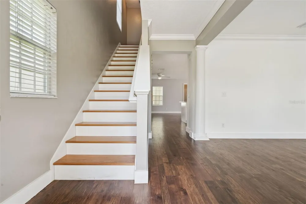 1102 GOLDENASTER COURT Celebration, FL 34747