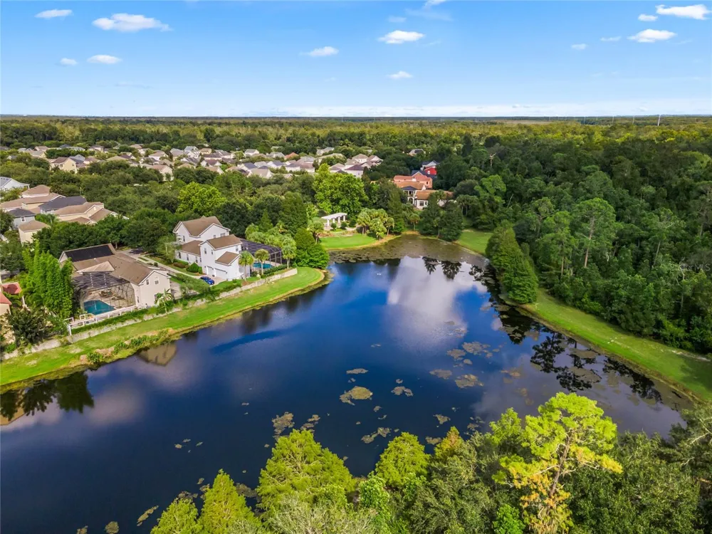 1102 GOLDENASTER COURT Celebration, FL 34747
