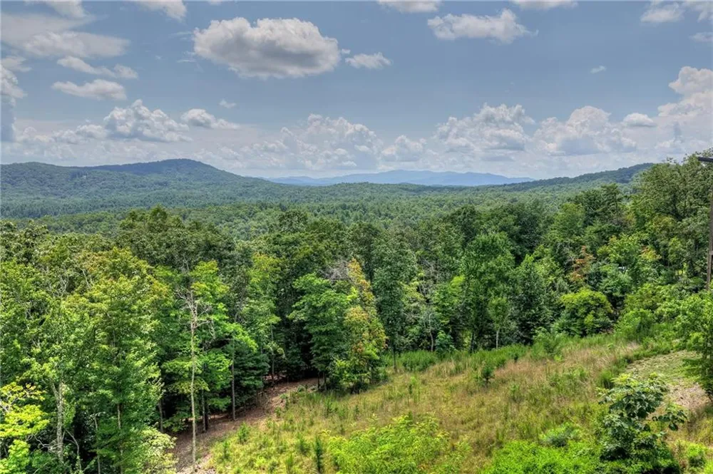 25 Boundless Trail Morganton, GA 30560
