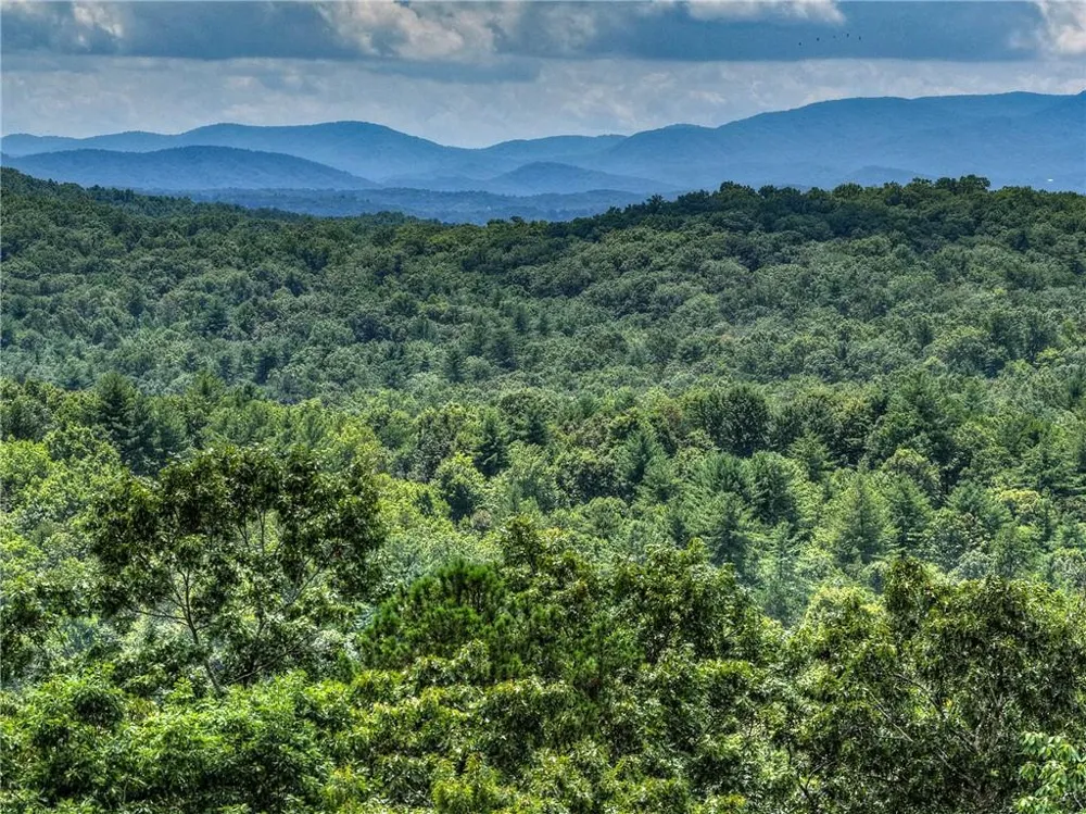 25 Boundless Trail Morganton, GA 30560