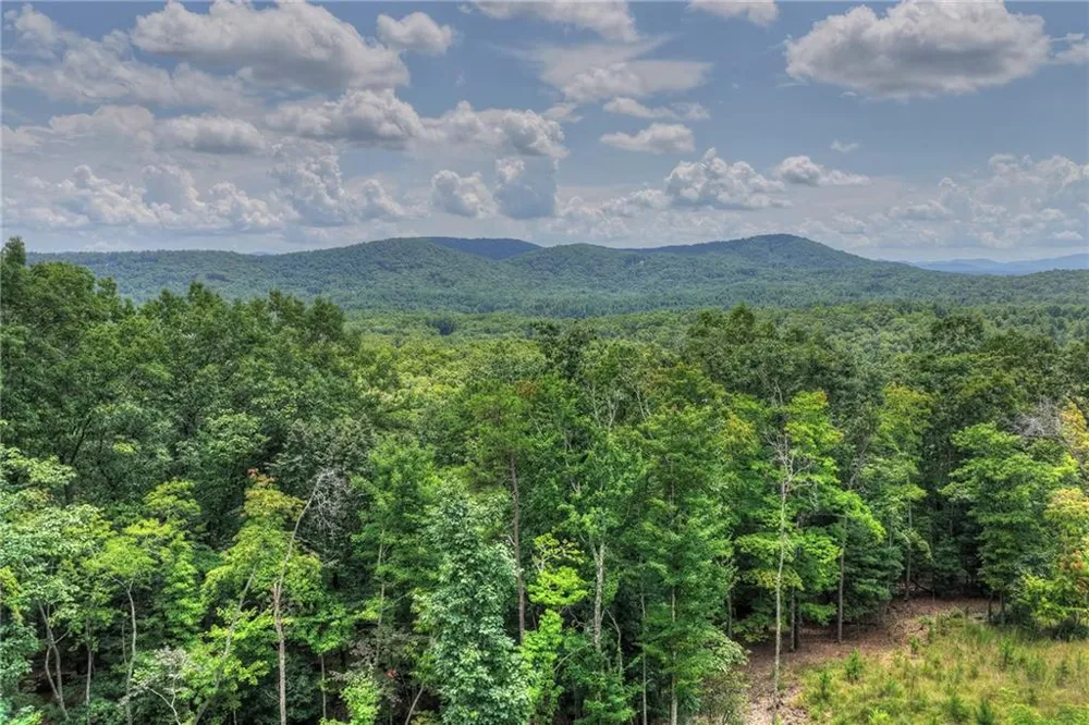 25 Boundless Trail Morganton, GA 30560