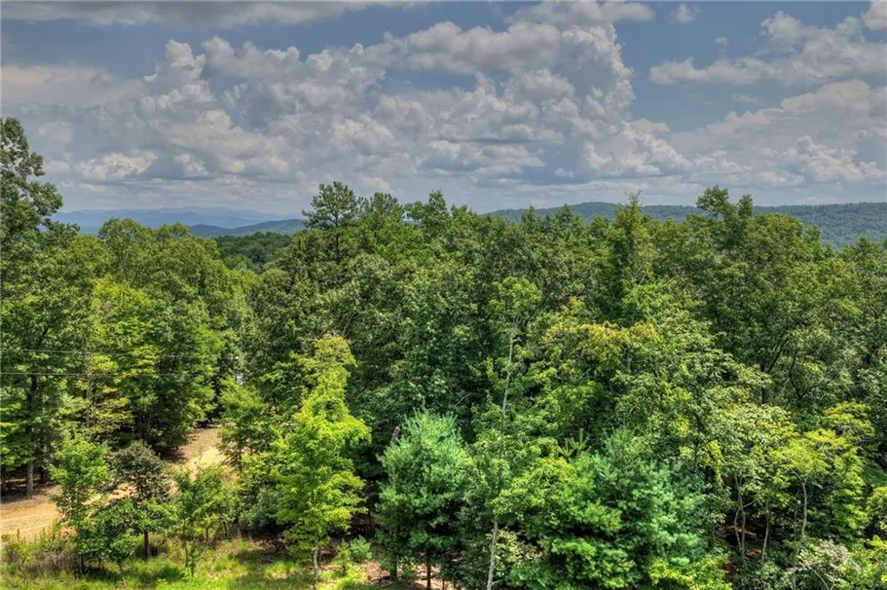 25 Boundless Trail Morganton, GA 30560
