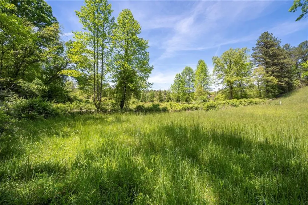 LT1-1A Jonica Gap Road Mineral Bluff, GA 30559