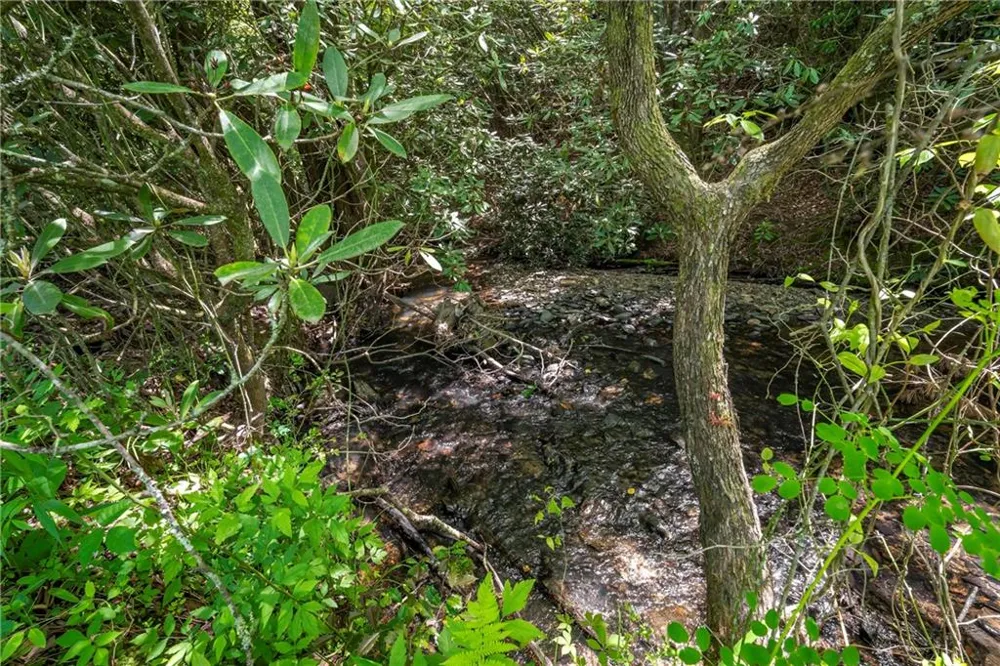 LT1-1A Jonica Gap Road Mineral Bluff, GA 30559