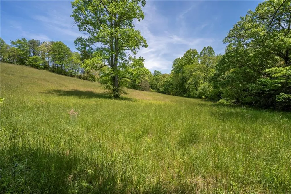 LT1-1A Jonica Gap Road Mineral Bluff, GA 30559