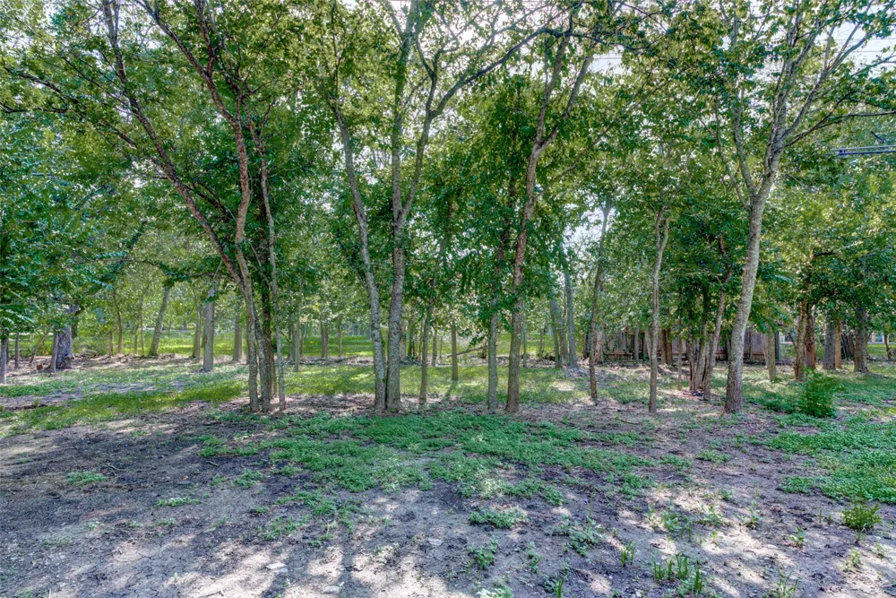11811 Sleepy Hollow Road Manchaca, TX 78652