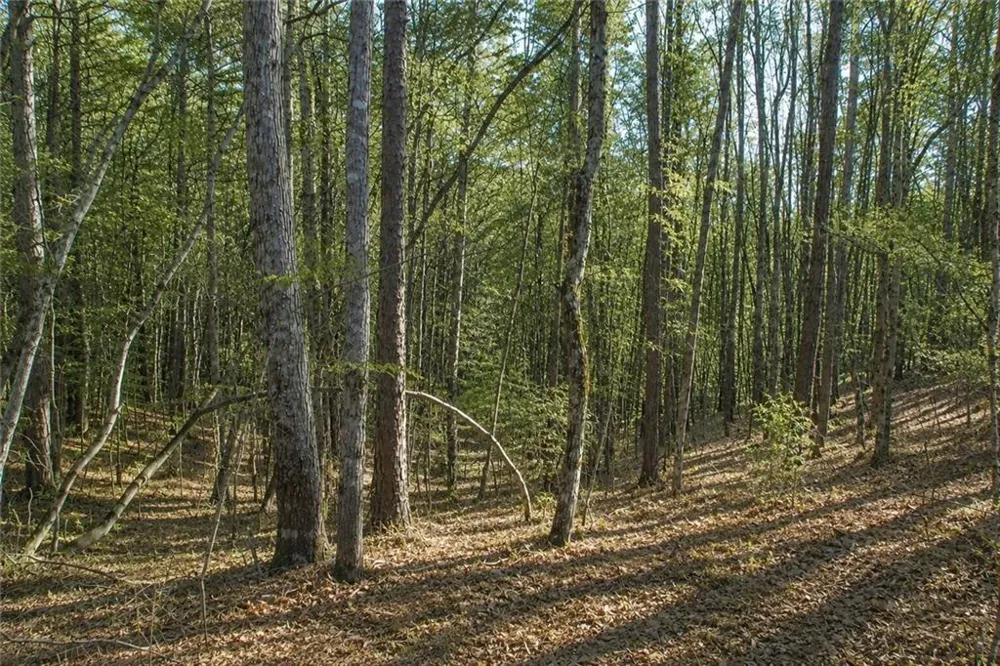 Lot 24 Waldrip Road Dawsonville, GA 30534