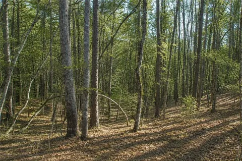 Lot 24 Waldrip Road