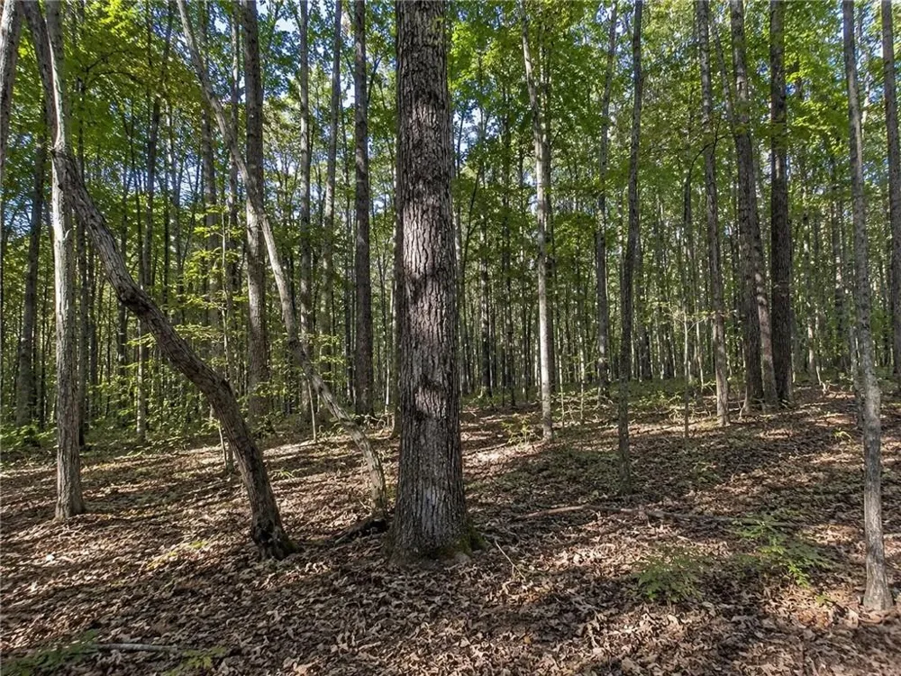 Lot 24 Waldrip Road Dawsonville, GA 30534