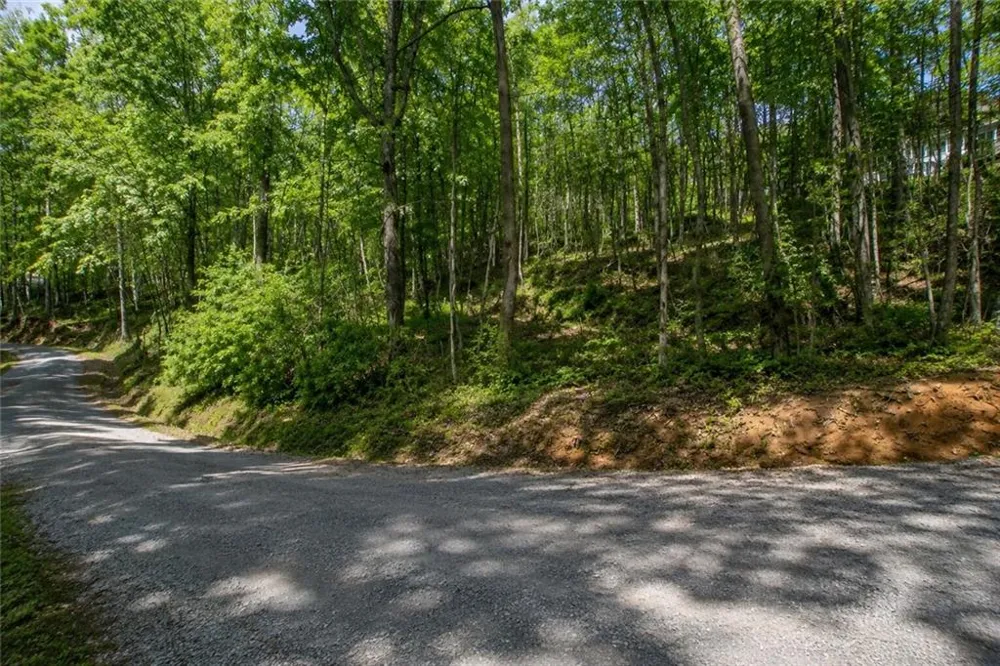 Lot 24 Waldrip Road Dawsonville, GA 30534