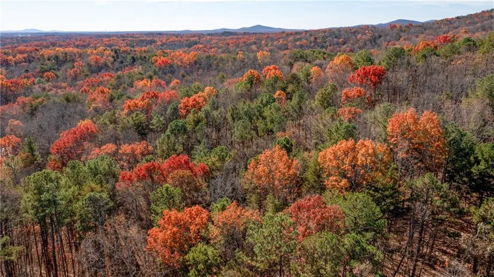 Lot 24 Waldrip Road Dawsonville, GA 30534