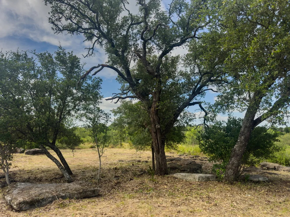 2229 Park View Drive Marble Falls, TX 78654