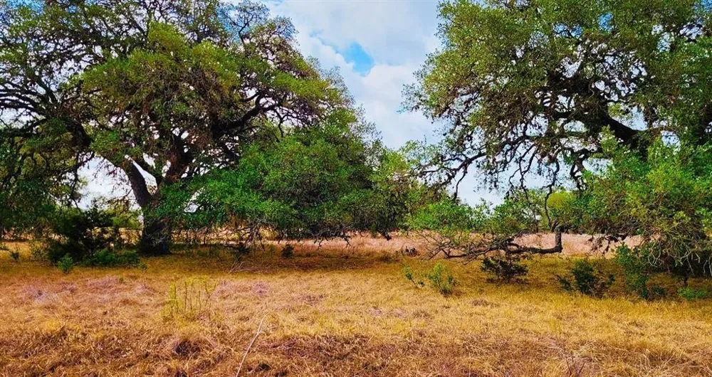 530 Buckskin Trail Bandera, TX 78003