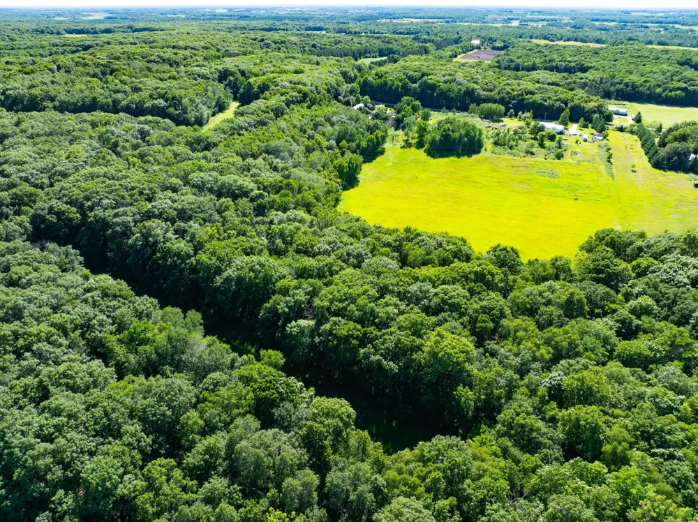 32067 County 3 Eagle Bend, MN 56446