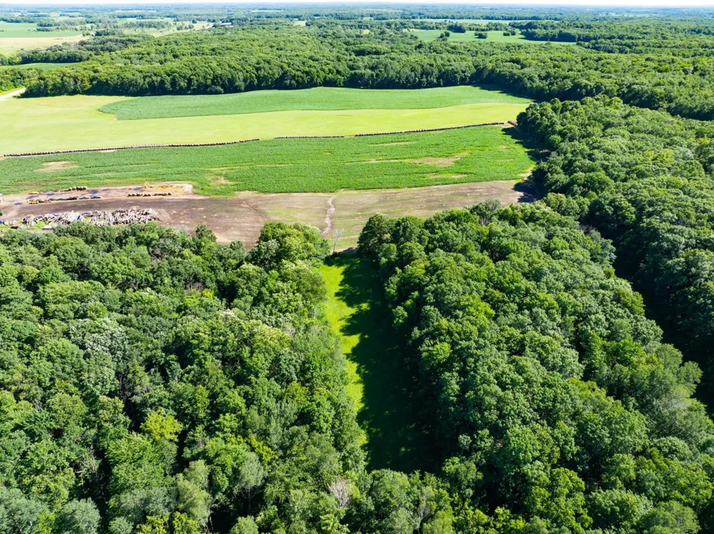 32067 County 3 Eagle Bend, MN 56446
