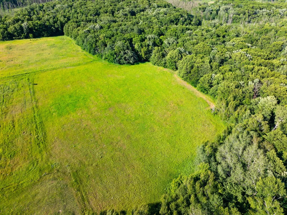 32067 County 3 Eagle Bend, MN 56446