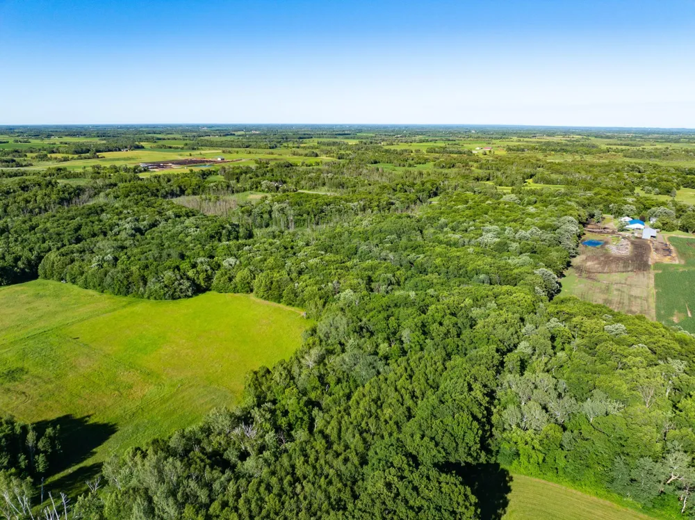 32067 County 3 Eagle Bend, MN 56446
