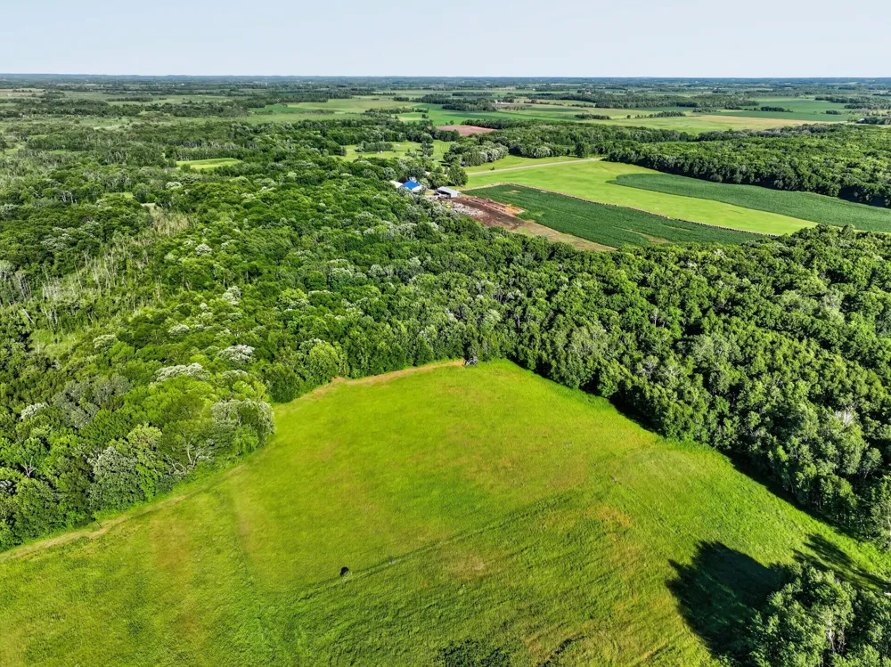 32067 County 3 Eagle Bend, MN 56446