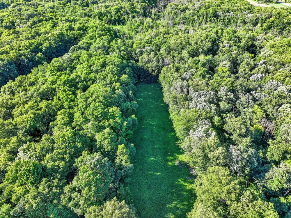 32067 County 3 Eagle Bend, MN 56446