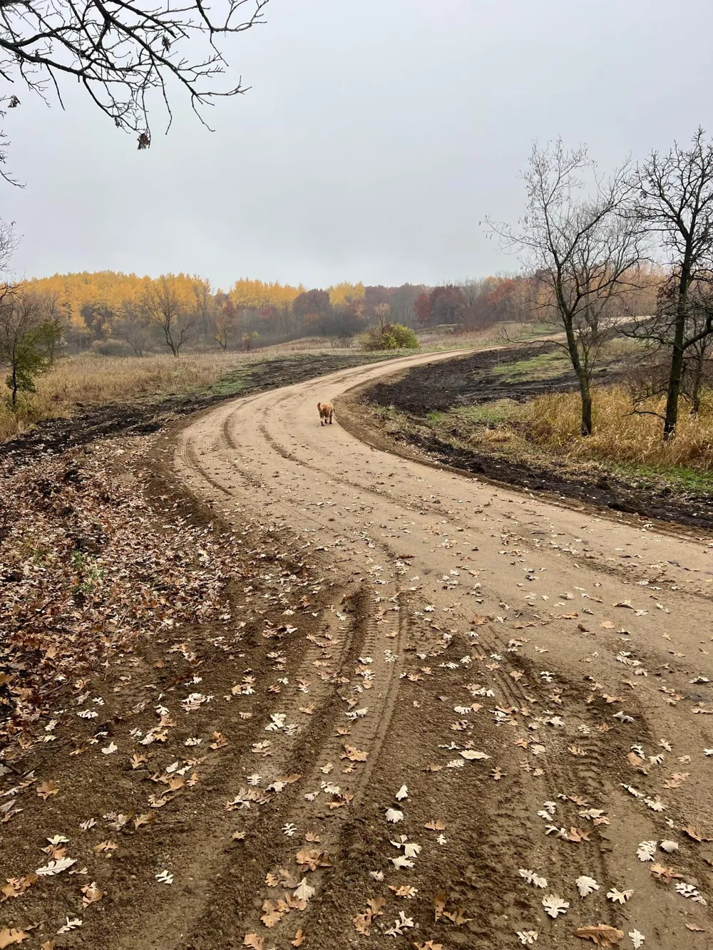 43914 CO HWY 6 Clitherall, MN 56524
