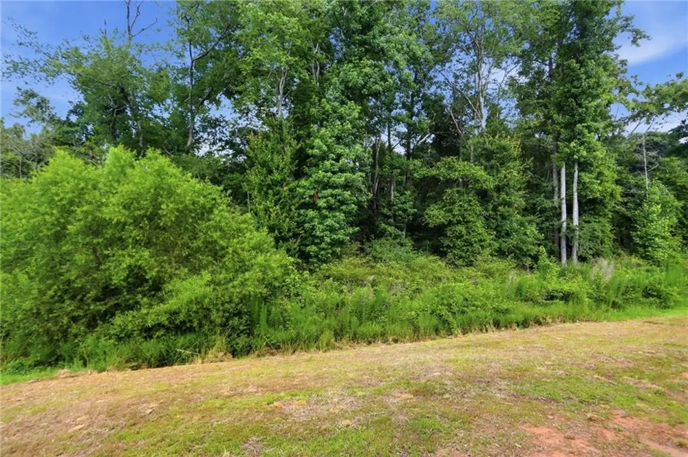 115 Culver Street Jackson, GA 30233