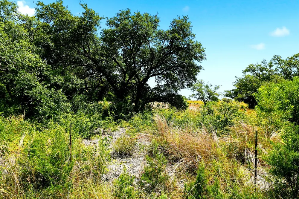 Mountain Creek Ranch Marble Falls, TX 78654