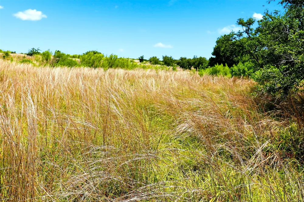 Mountain Creek Ranch Marble Falls, TX 78654
