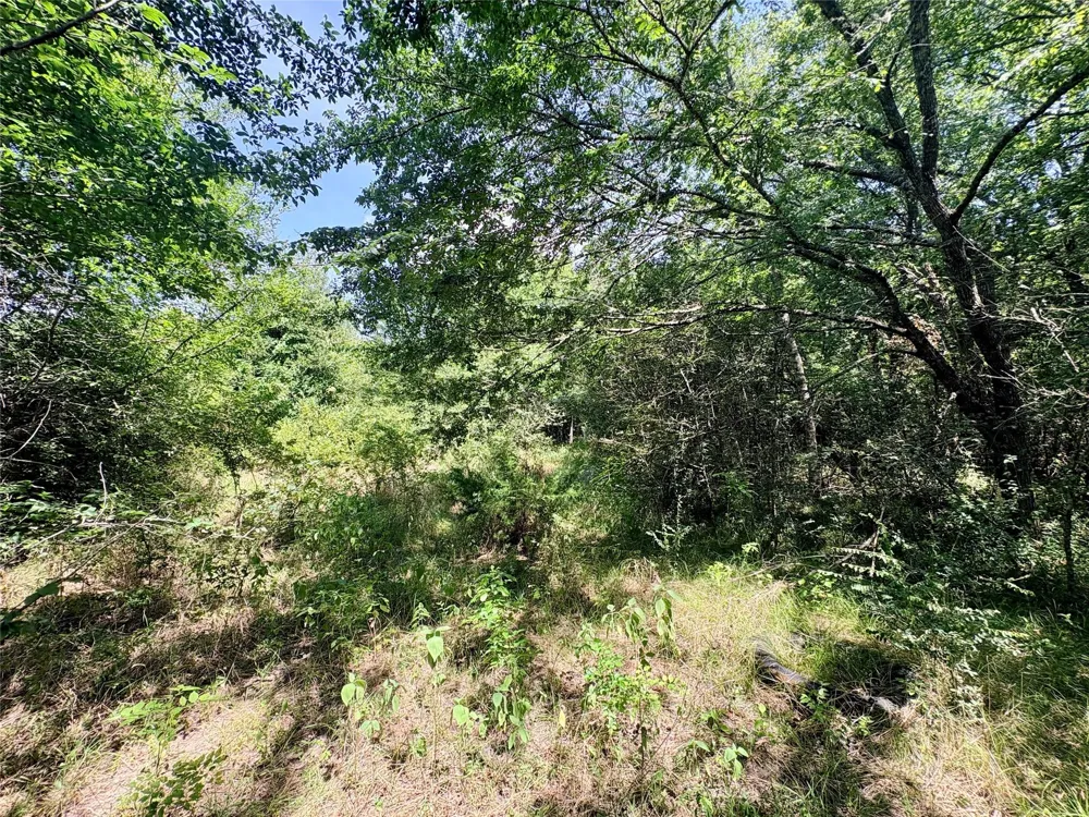 1 Crennan Lane Hearne, TX 77859