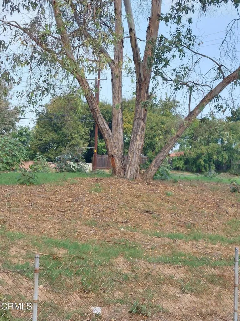 512 Peckam Drive La Puente, CA 91746