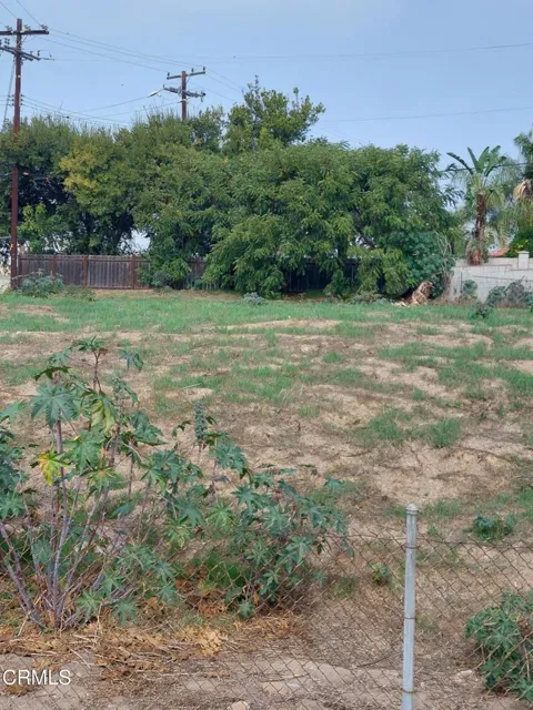 512 Peckam Drive