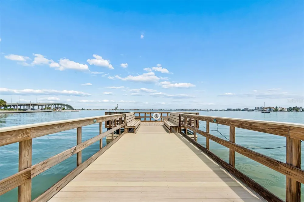 100 BLUFF VIEW DRIVE #509C Belleair Bluffs, FL 33770