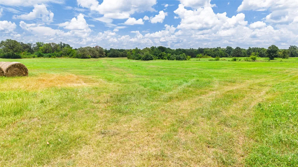 127 County Road 2314 Sulphur Springs, TX 75482