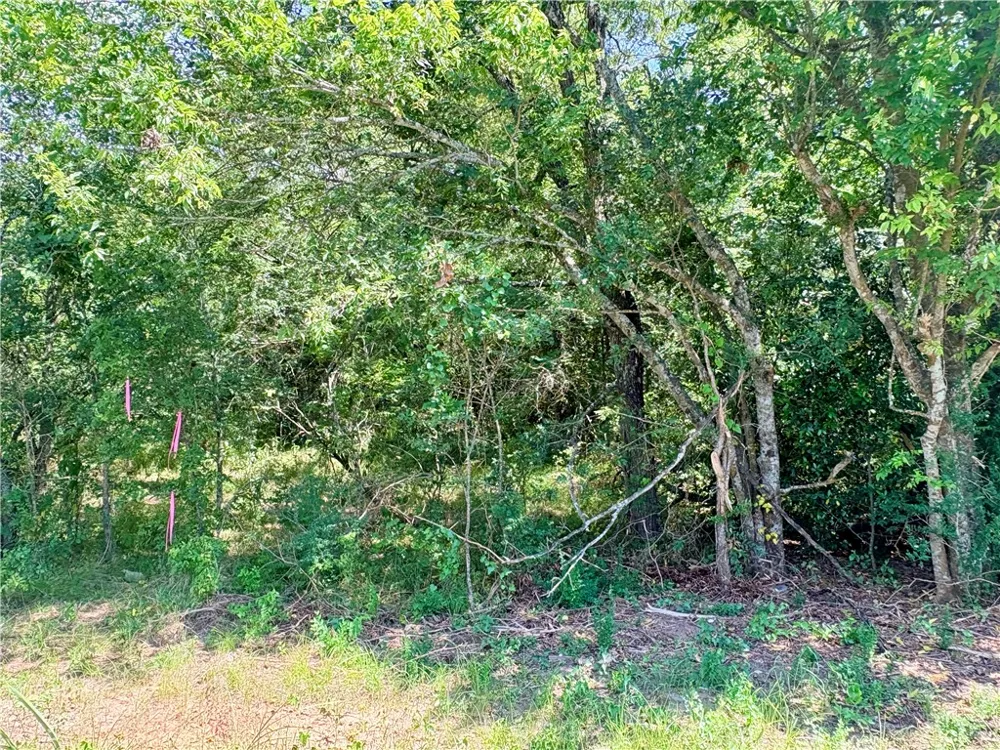 Crennan Lane Hearne, TX 77859
