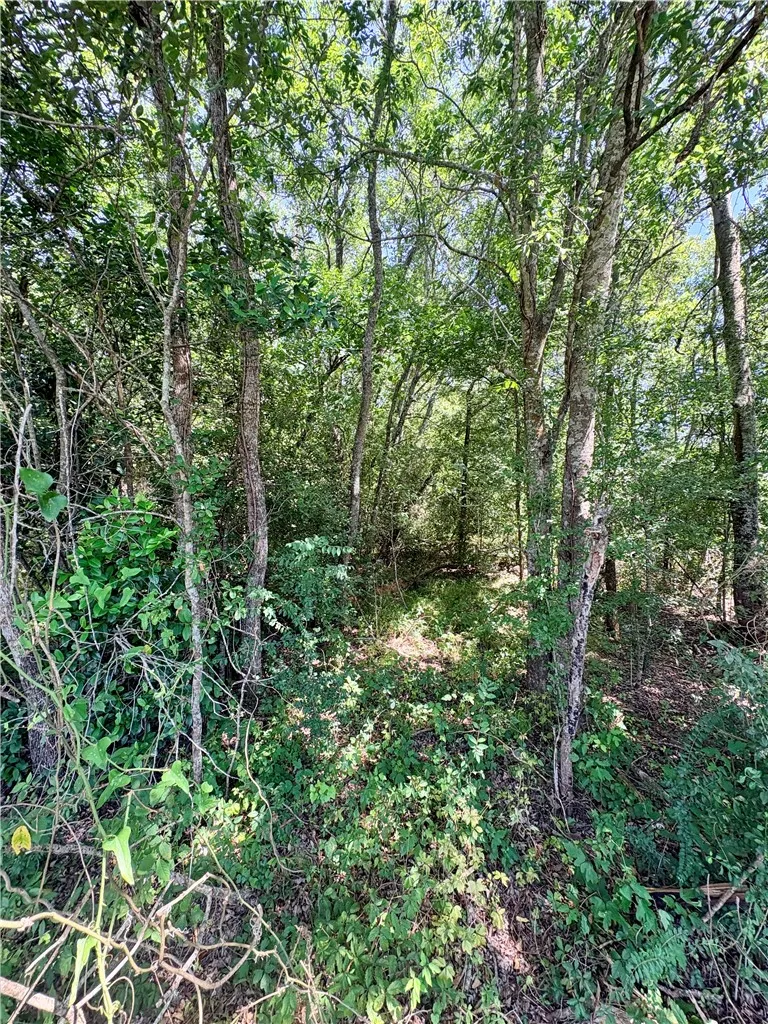 Crennan Lane Hearne, TX 77859