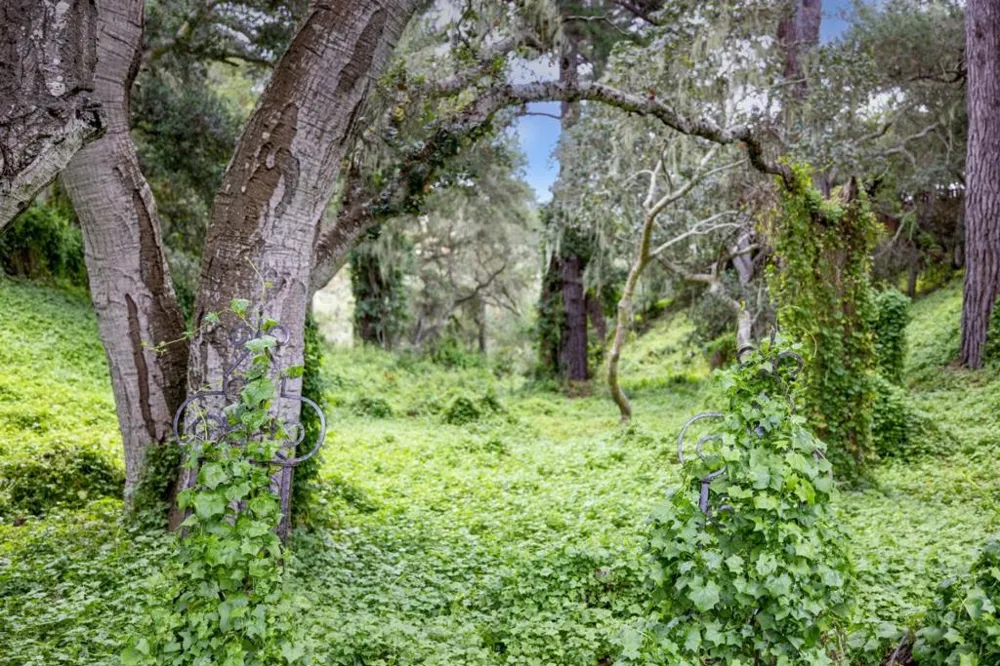25193 Flanders Drive Carmel, CA 93923