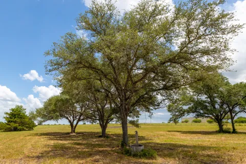 1021 E Old Hallettsville Road