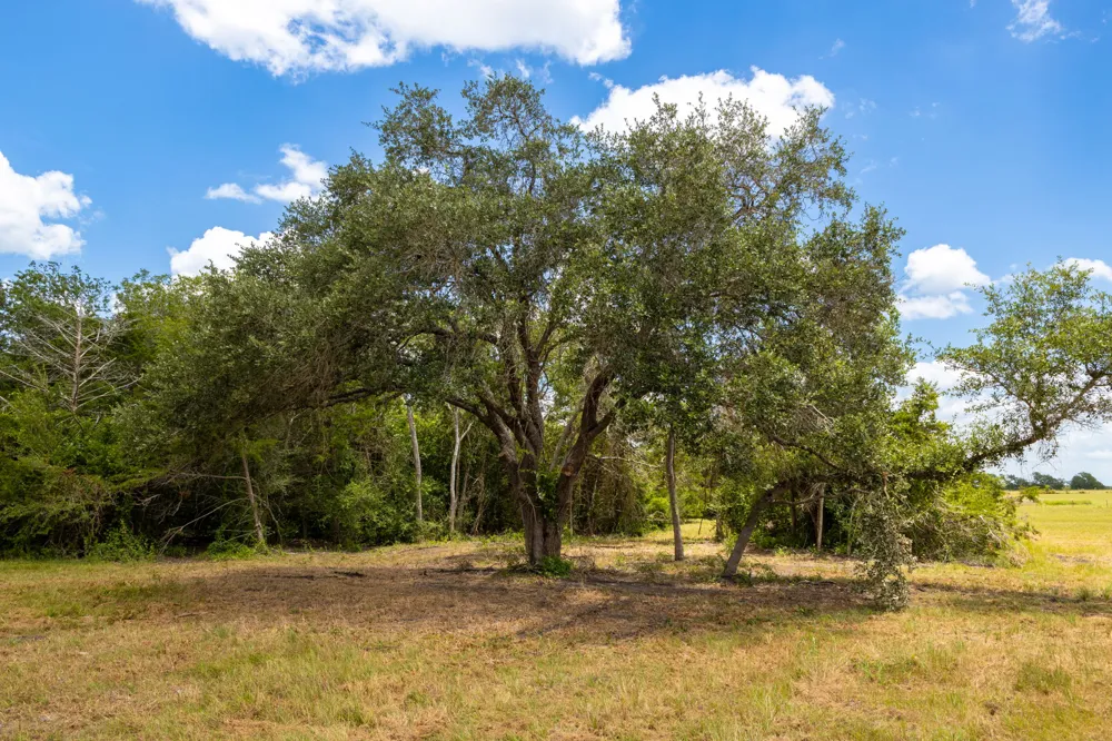 1021 E Old Hallettsville Road Flatonia, TX 78941