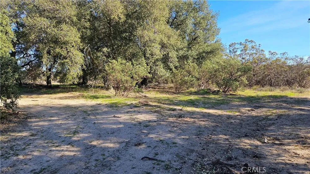 1910 Tierra Del Sol Road Boulevard, CA 91905