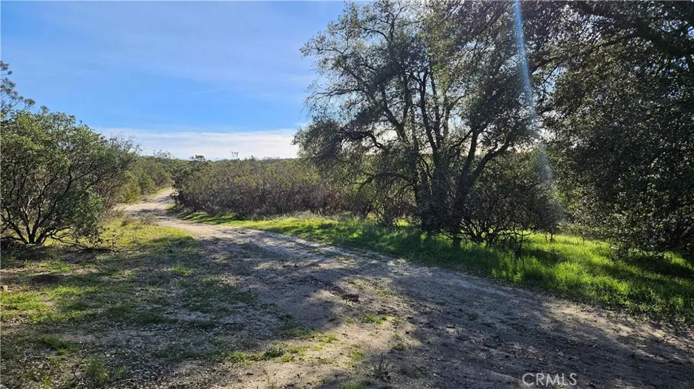 1910 Tierra Del Sol Road Boulevard, CA 91905