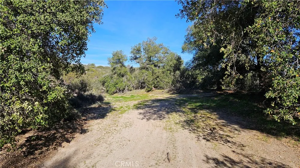 1910 Tierra Del Sol Road Boulevard, CA 91905