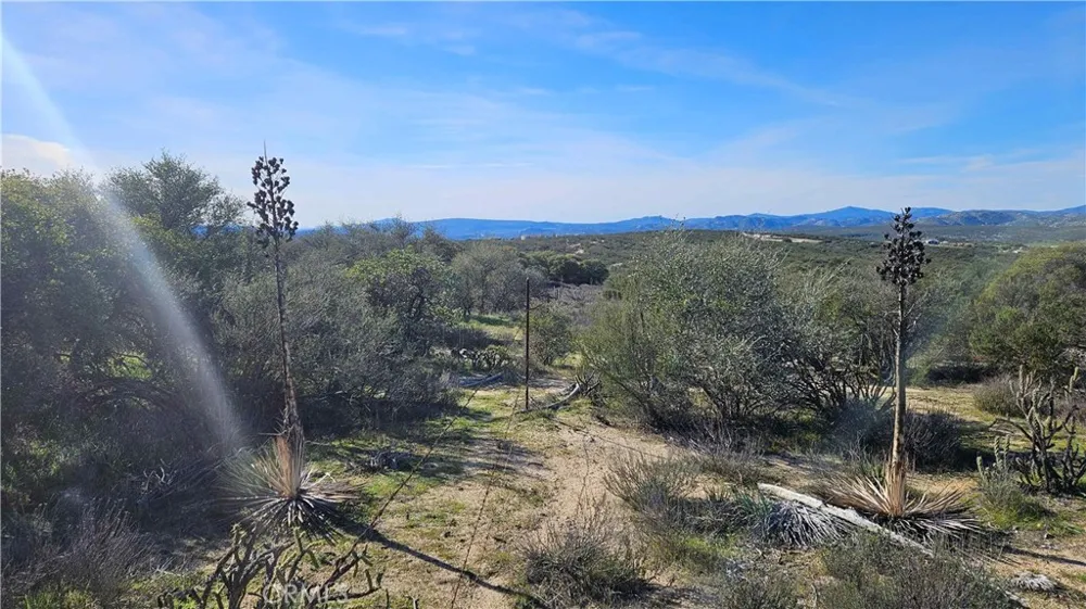 1910 Tierra Del Sol Road Boulevard, CA 91905