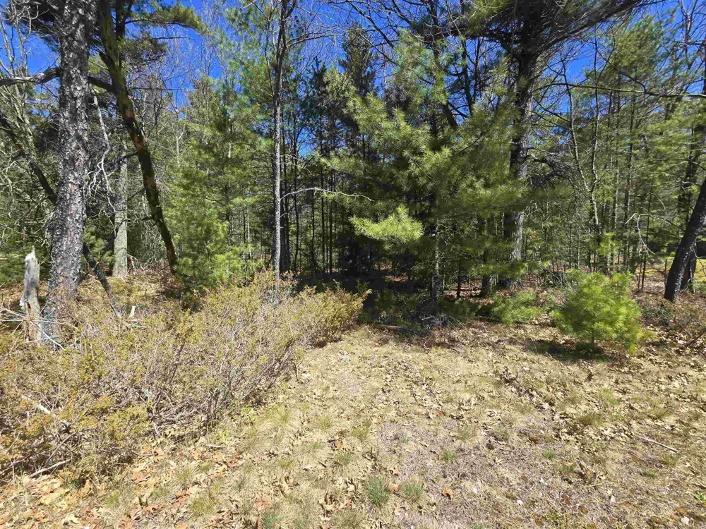 4699 Johnson Road Au Sable Charter Township, MI 48750